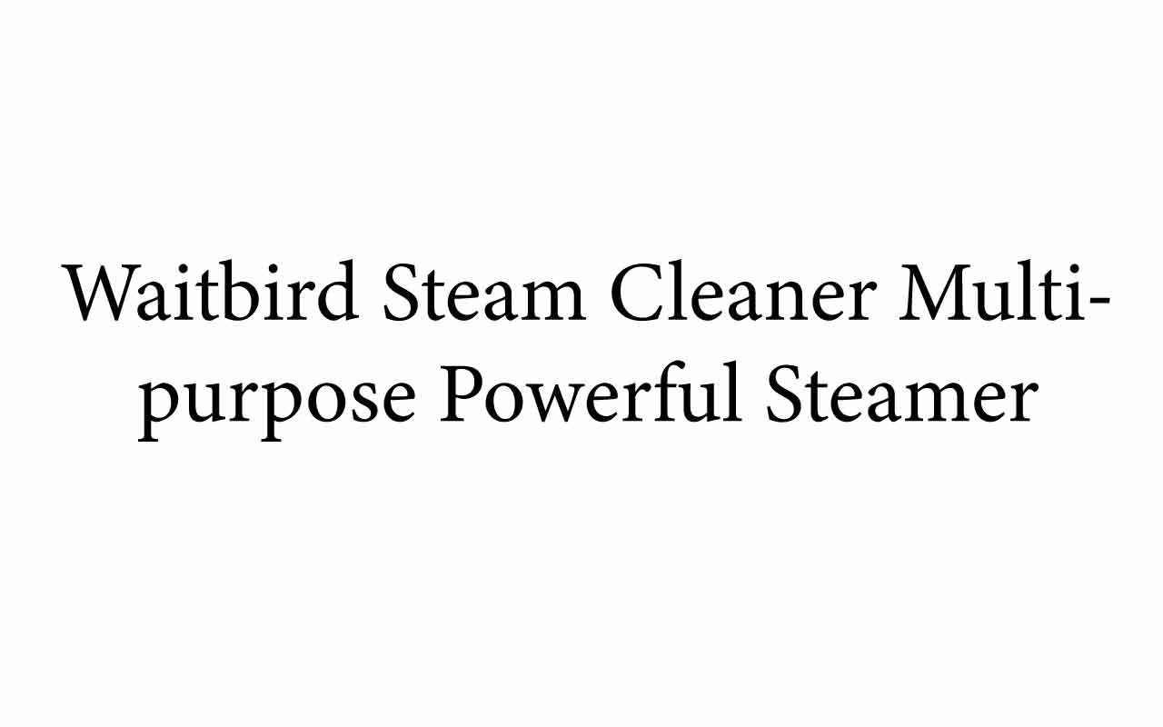 Waitbird Steam Cleaner