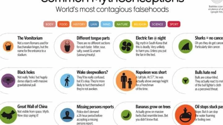 52 Of The Most Common Myths and Misconceptions Debunked In One