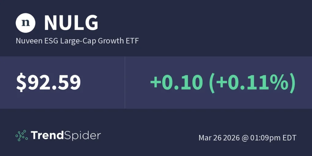 How to Add nuveen large cap growth index fund retirement to Your Portfolio