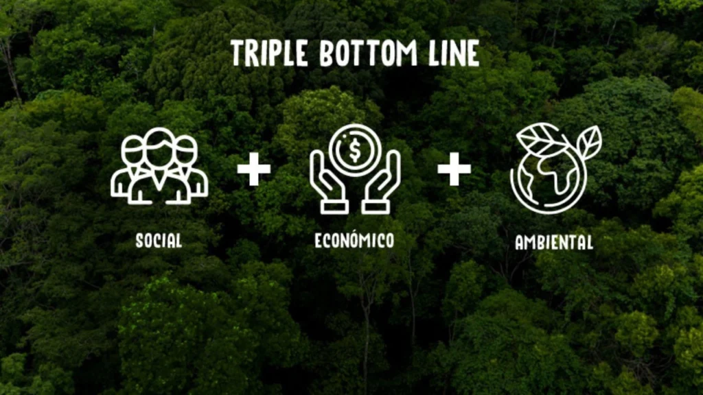 Modelo Triple Bottom Line: ¿De qué se trata y por qué es importante
