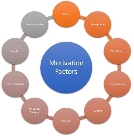 Motivation - Definition, Importance, Types, Factors & Example | HRM