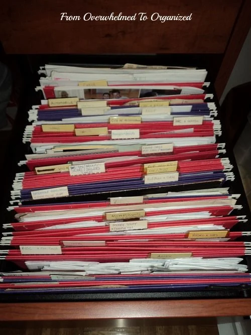 Paperwork and Preparation: The Administrative Side of Adoption