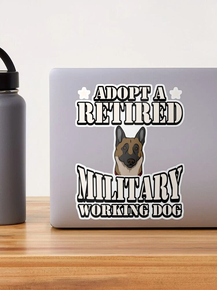 Preparing Your Home for a Retired Military Working Dog