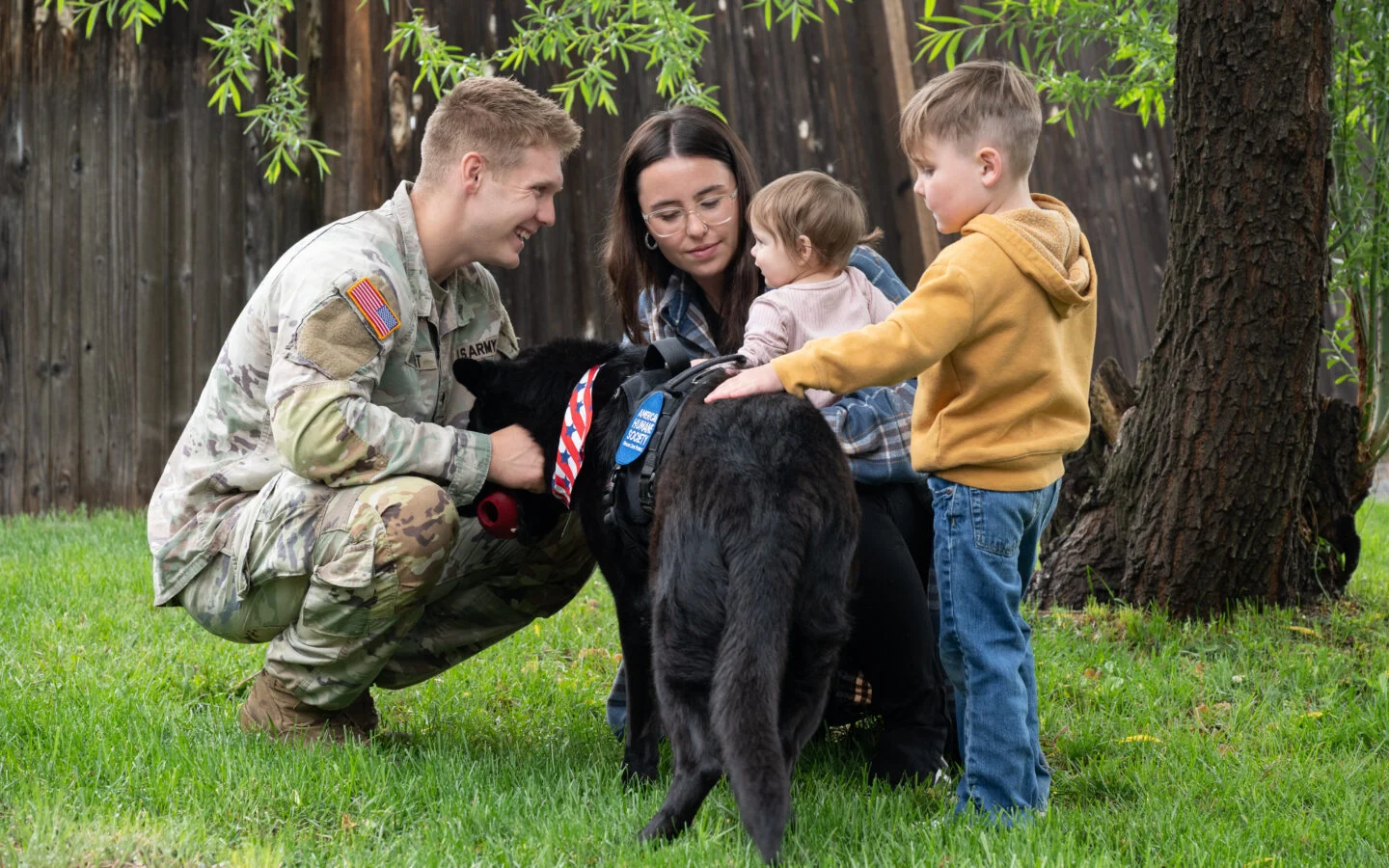 Understanding the Adoption Process for Retired Military Working Dogs