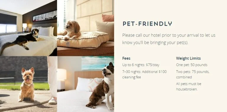 Book Pet Friendly Hotel dengan Mudah