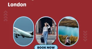 Booking a Flight to Orlando: Tips and Tricks