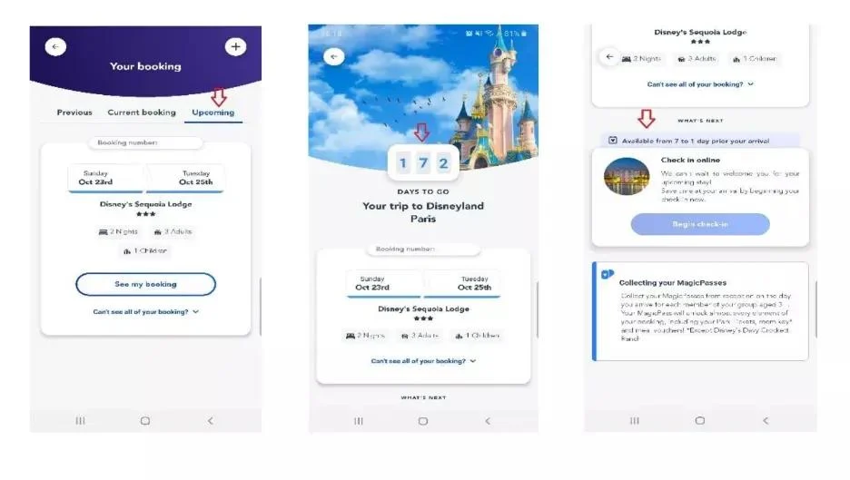 Managing Your Disney Hotel Booking