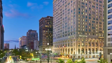 The Book Hotel Detroit: A Literary Oasis