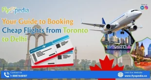 Understanding Flight Booking Toronto