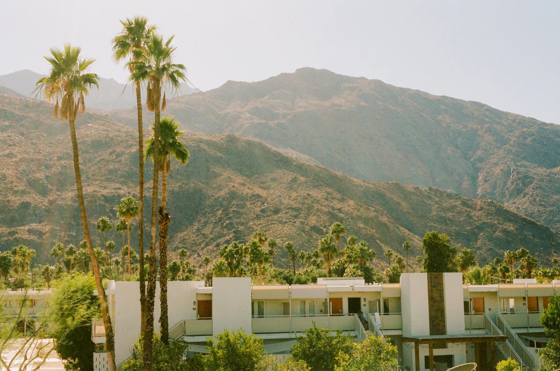Understanding the Ace Hotel Palm Springs Booking Process