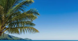 Booking a Flight to the Dominican Republic: Tips and Considerations